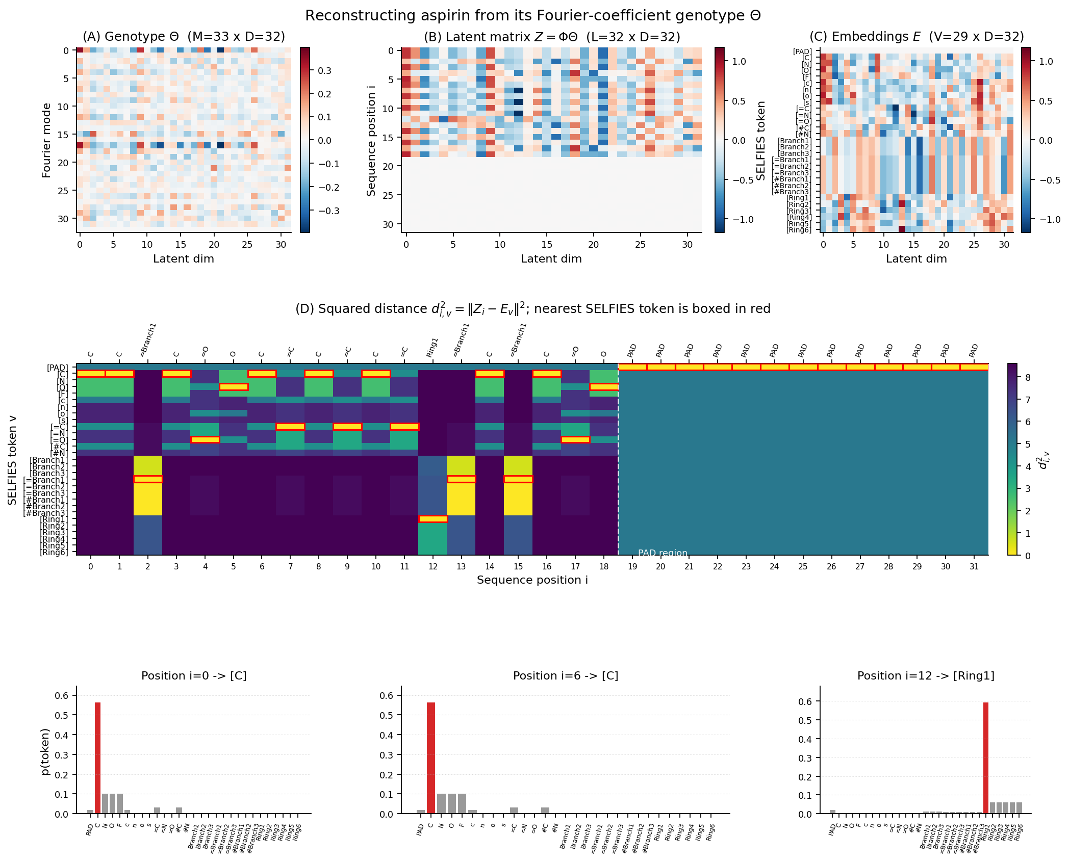 Genotype-to-molecule pipeline using Fourier coefficients and SELFIES.